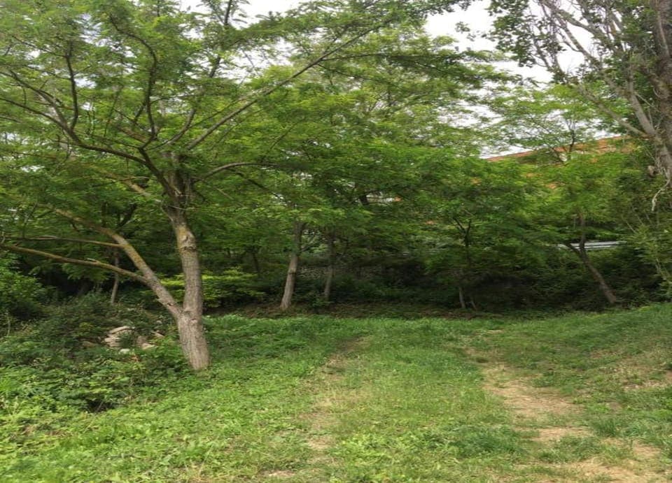 Apartment | View from property