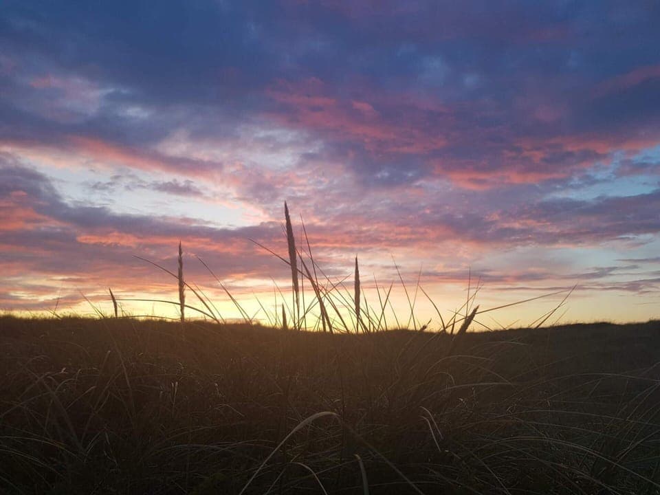 House | Miscellaneous