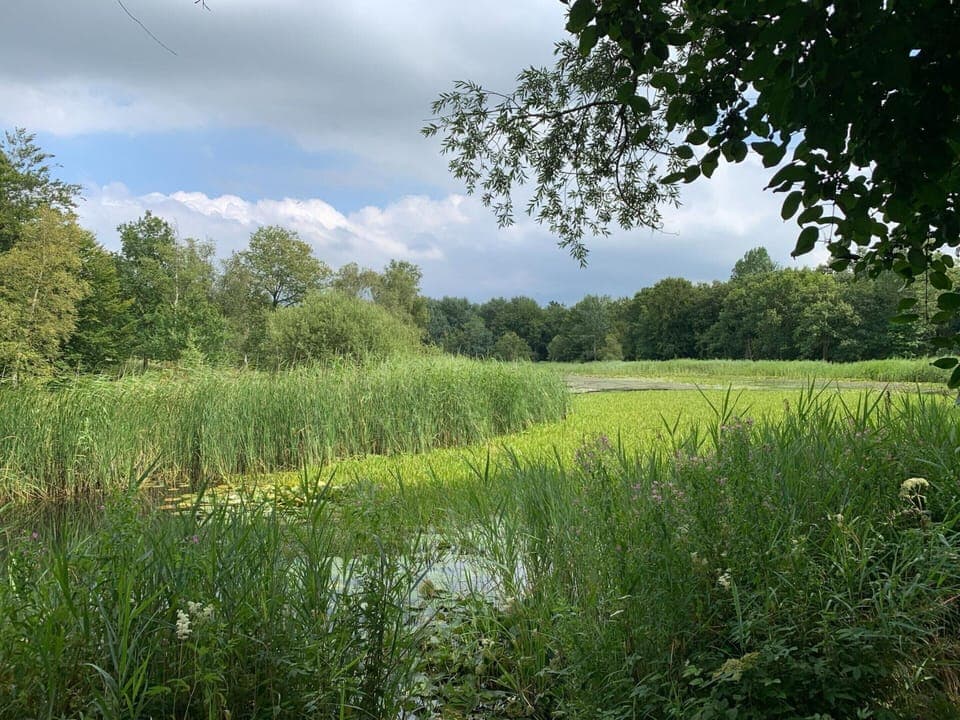 House | View from property