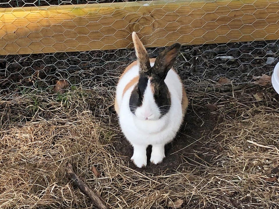 House | Bathroom | Bathtub