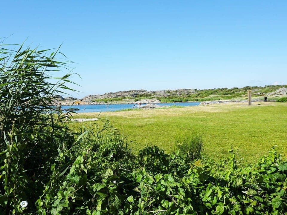 House | Miscellaneous