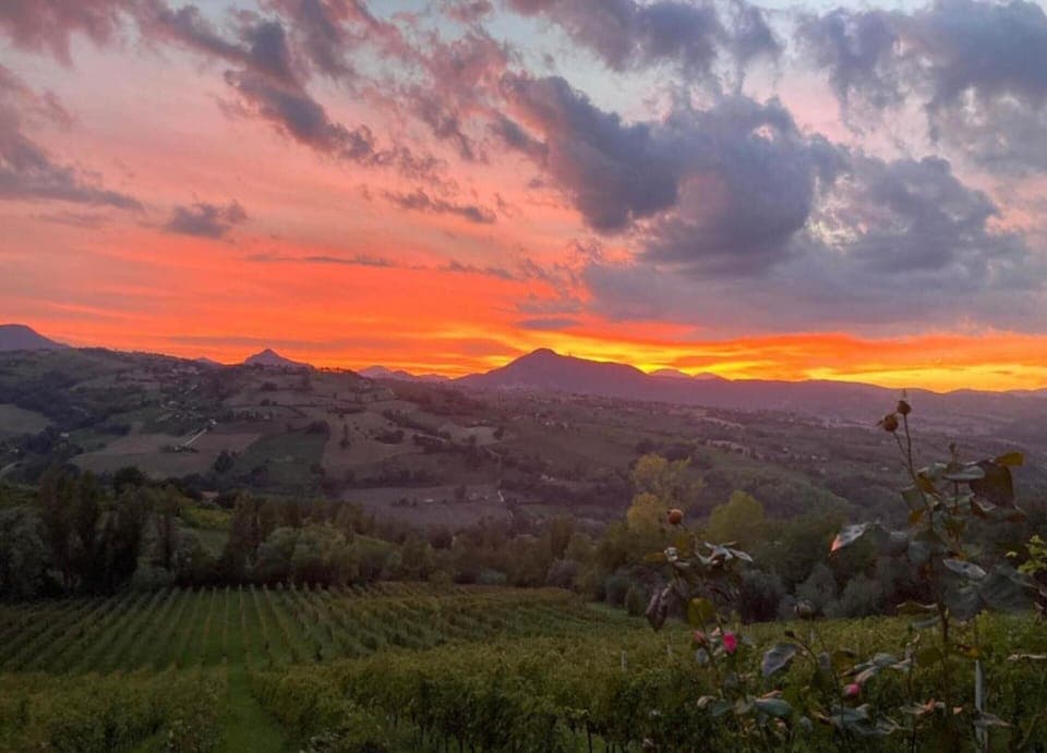 Apartment | View from property