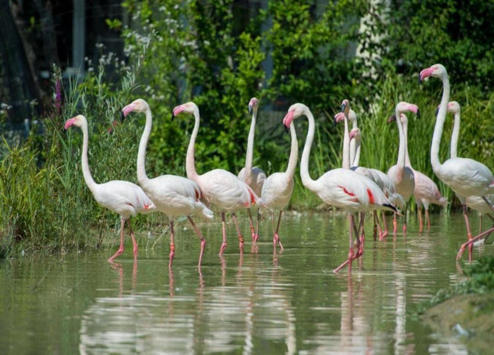 Bungalow | View from property
