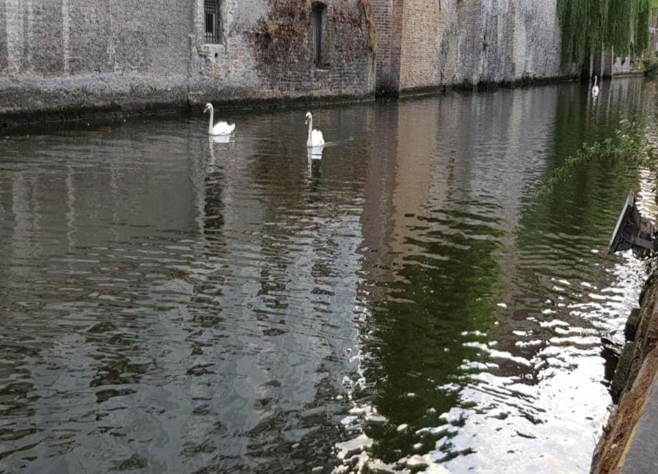 Apartment | View from property