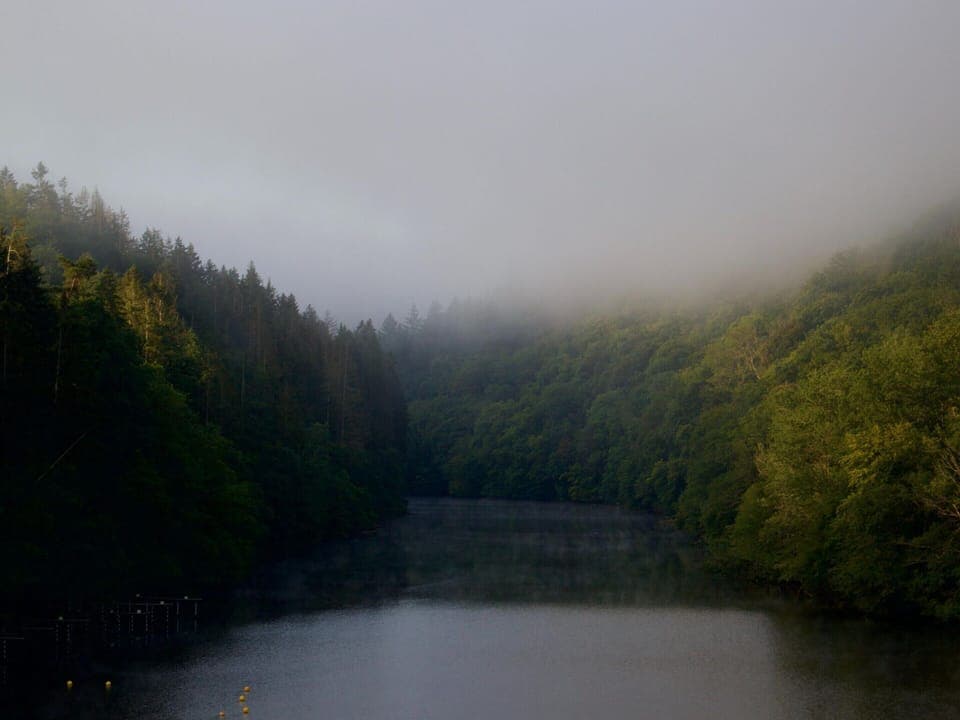 House | View from property