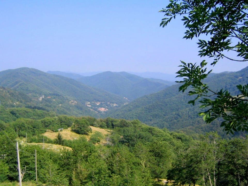 House | View from property