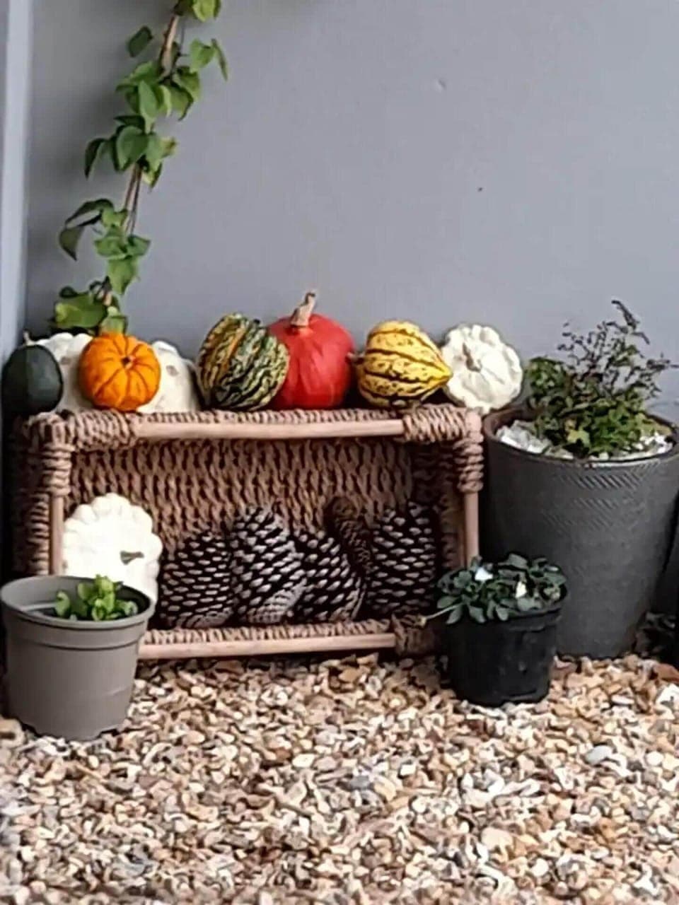 Apartment | Food and drink