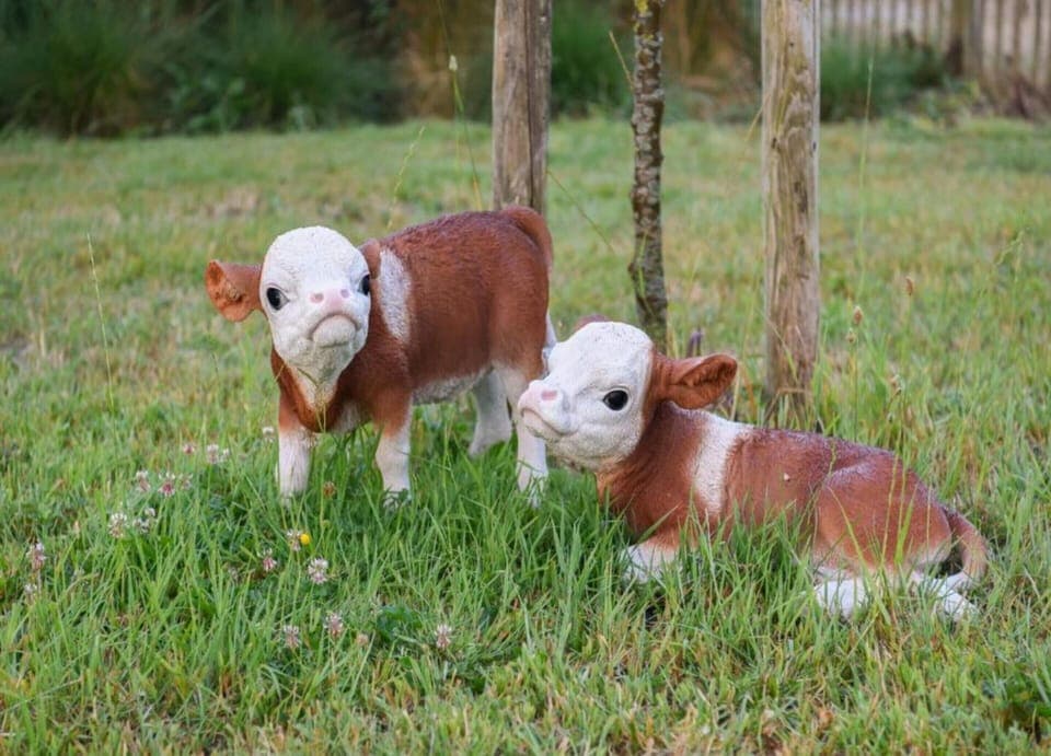 Apartment | View from property