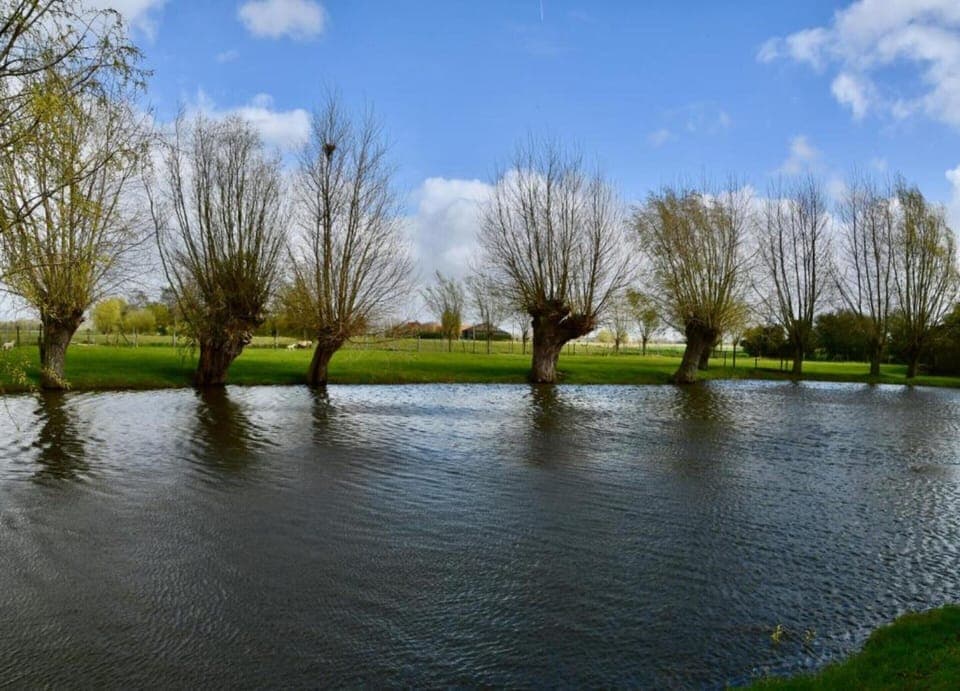Apartment | View from property