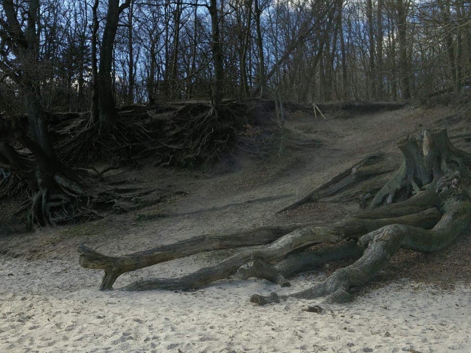 House | Miscellaneous