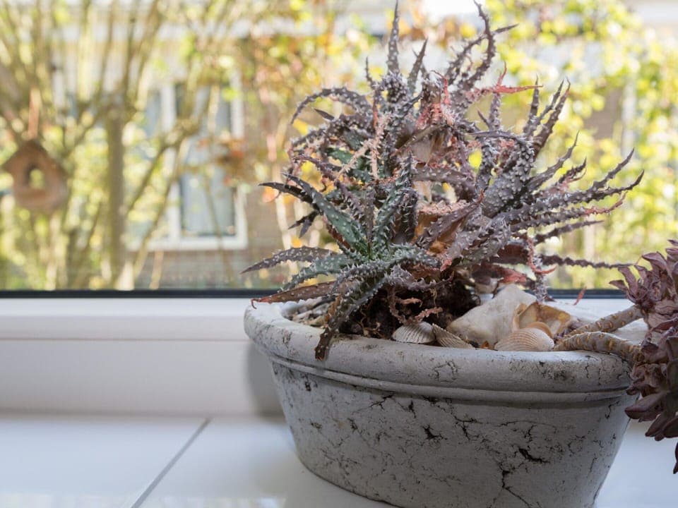 House | Interior detail