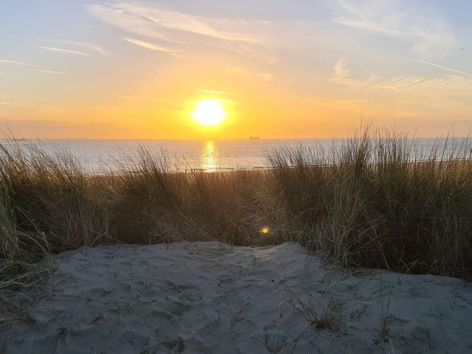 House | View from property