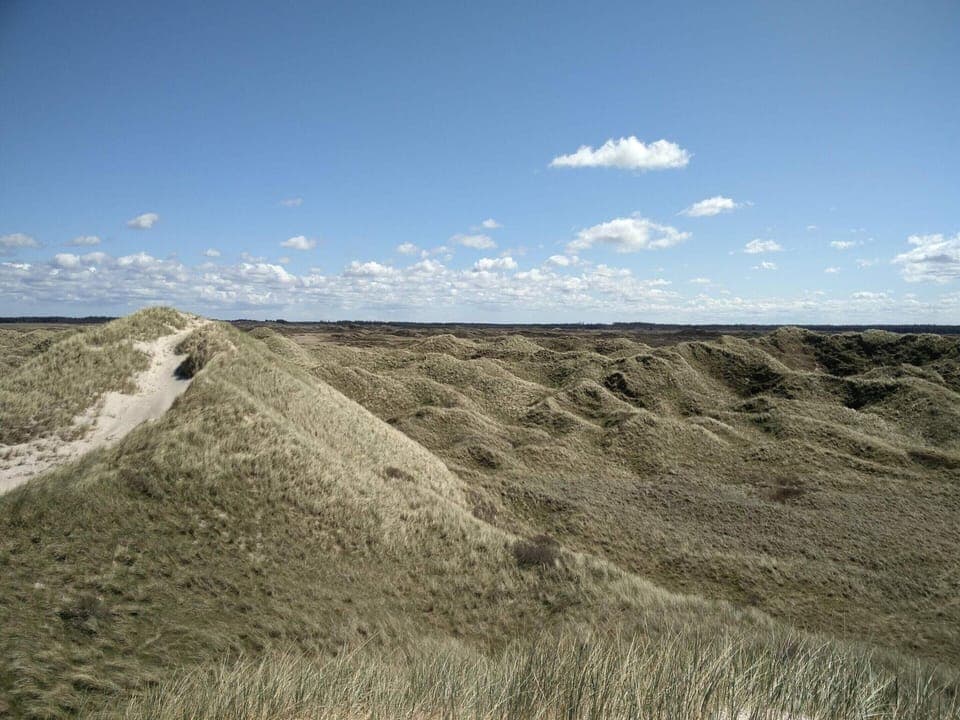 House | Miscellaneous