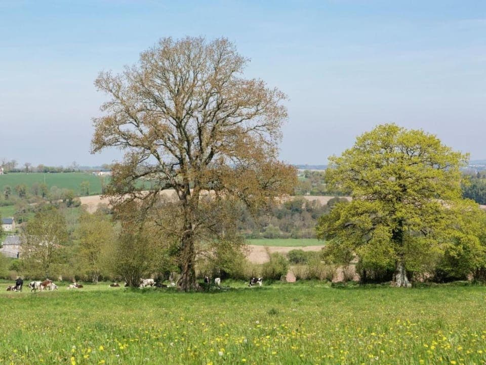 Region [summer] (>5 km)