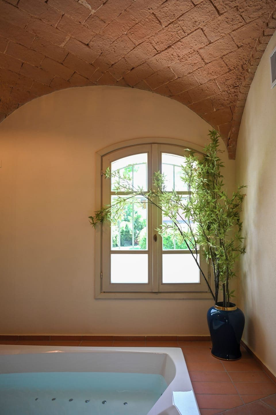 Sauna, hot tub, massages