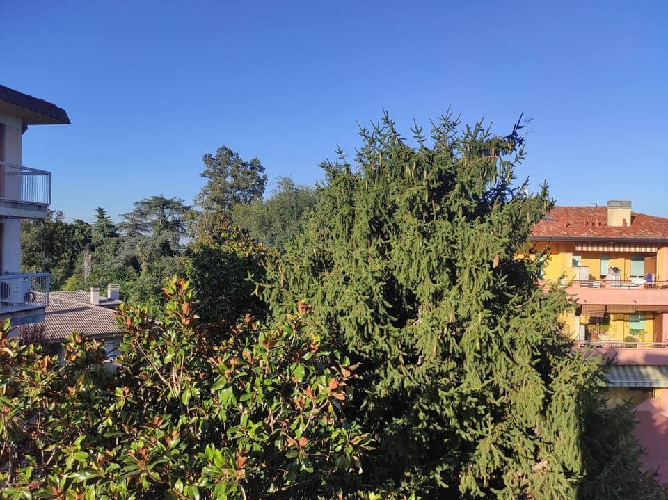 Apartment, 3 Bedrooms, Terrace, Garden View | Garden