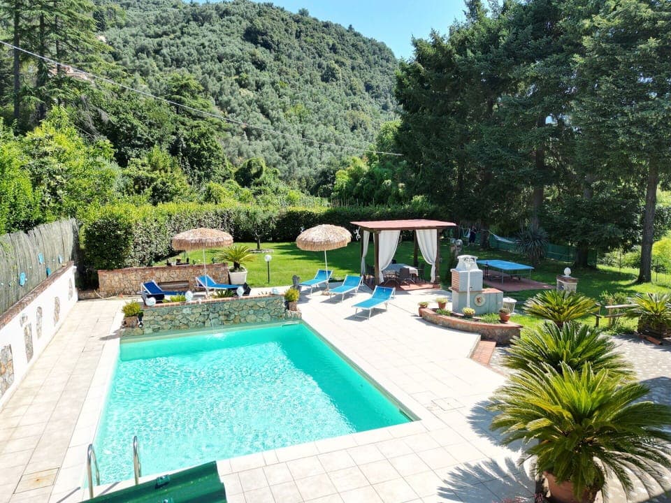 Garden, Outdoor, Pool