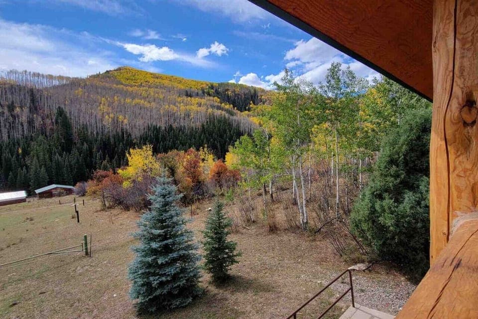 View from property