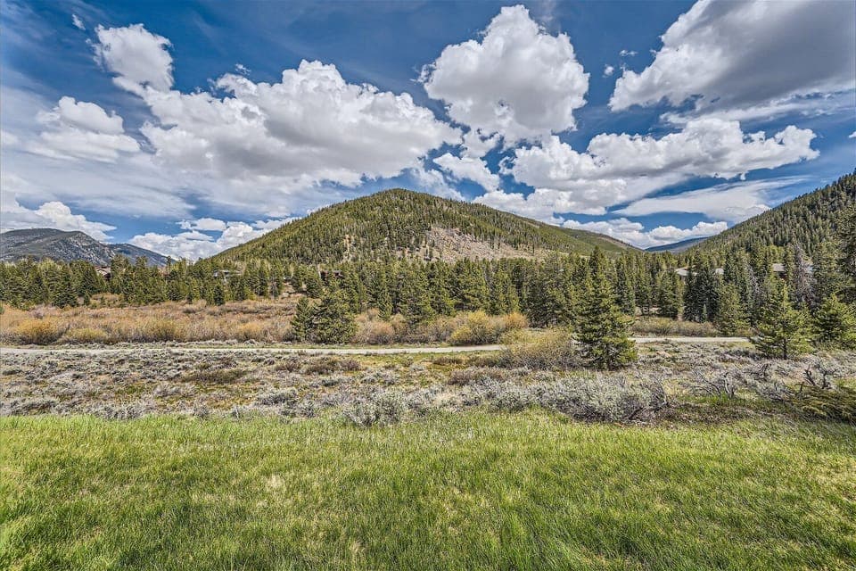 A lush green meadow is in the foreground with mountains covered in pine trees under a partly cloudy blue sky.