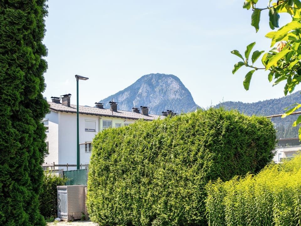 Immediate Surroundings [summer] (<1 km)