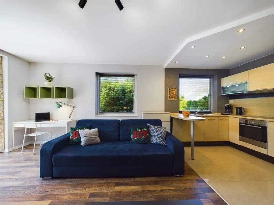 Comfortable, fold-out sofa in the living room. 