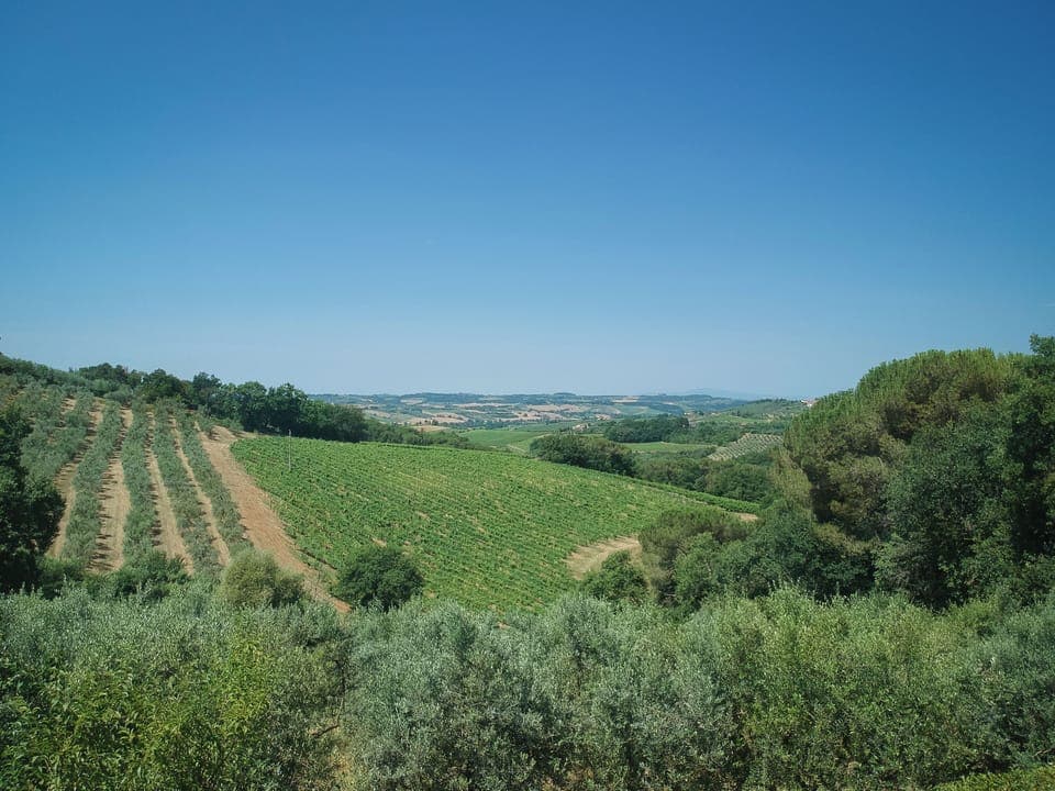 Land view from property