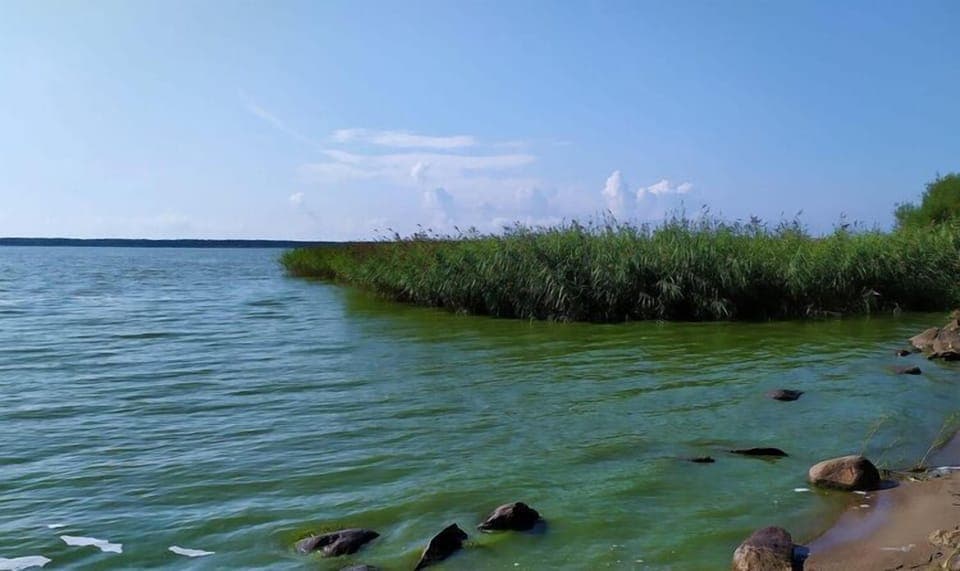 Immediate Surroundings [summer] (<1 km)