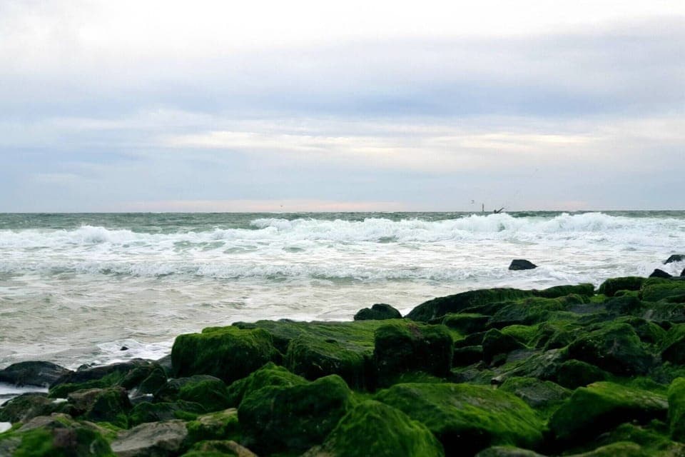 Surroundings [summer] (1-5 km)