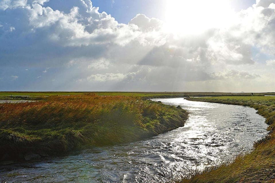 Region [summer] (>5 km)