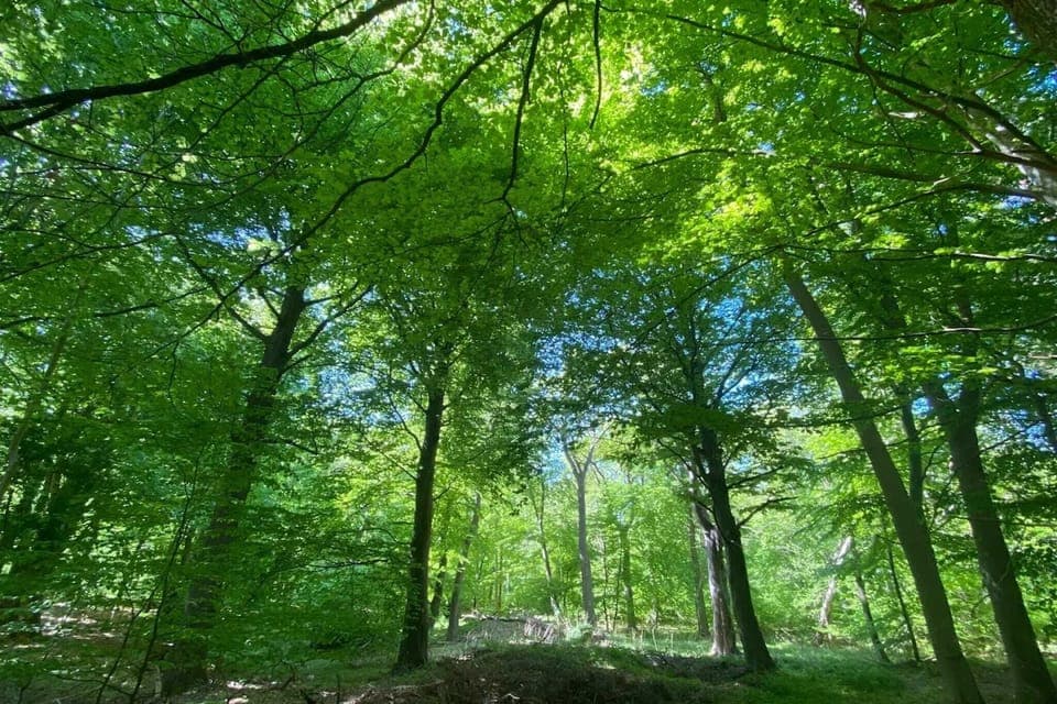 Surroundings [summer] (1-5 km)