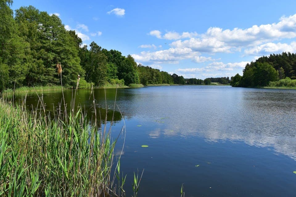 Immediate Surroundings [summer] (<1 km)