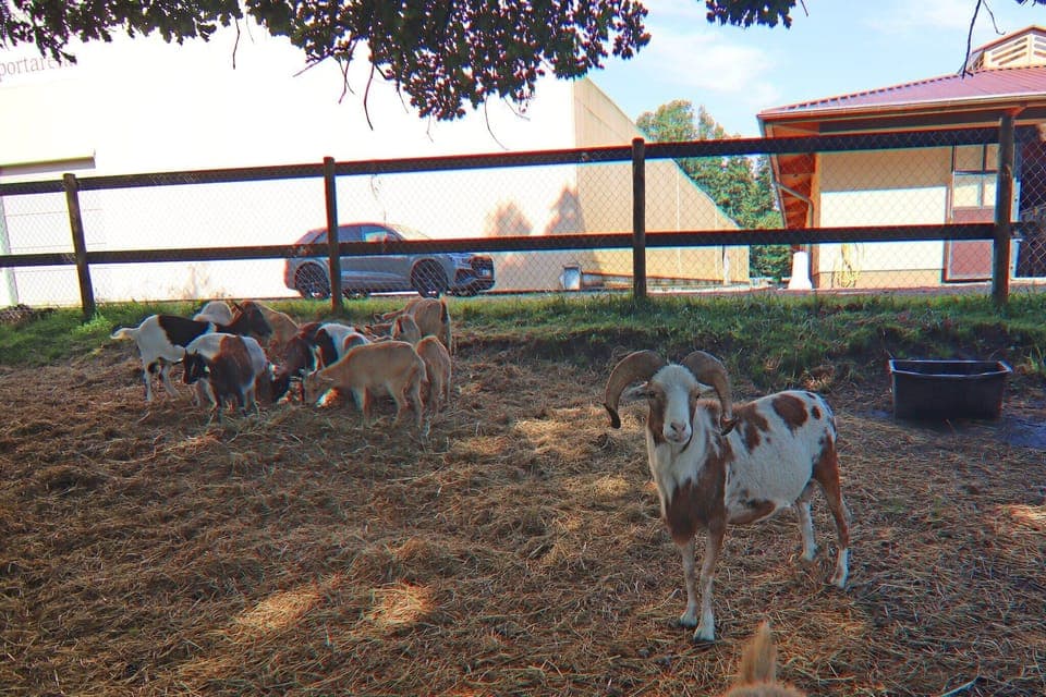 Immediate Surroundings [summer] (<1 km)