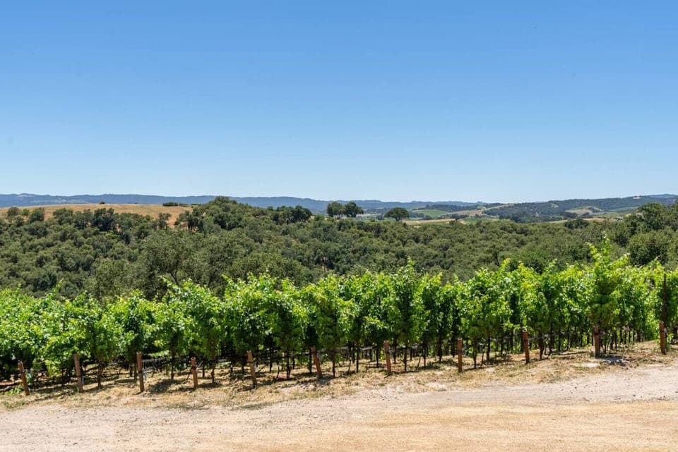 Stunning vineyard views at The Story, 1000 Kiler Canyon Road.