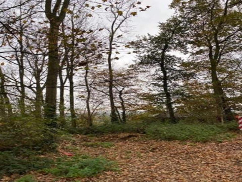 Region [summer] (>5 km)