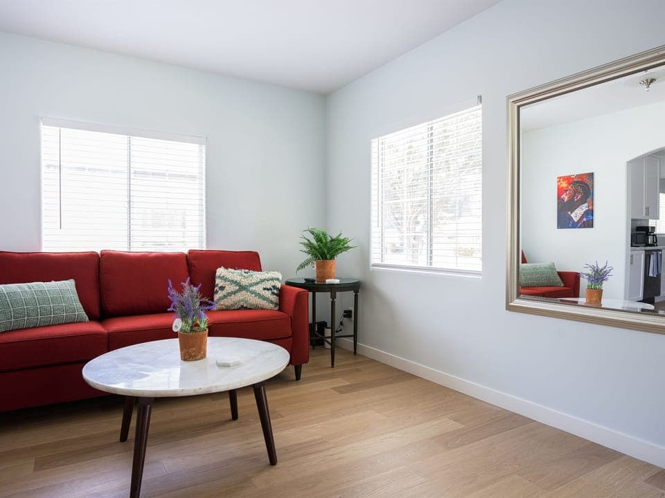 Comfortable couch pulls out into queen size bed