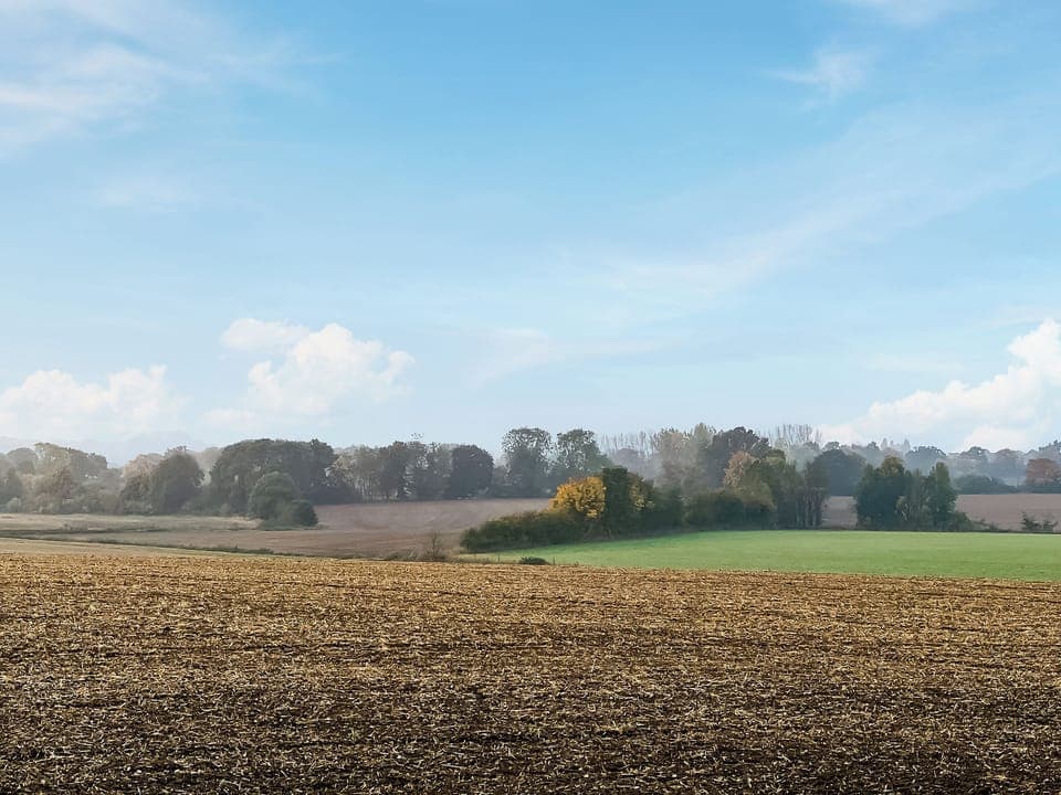 Surrounding area | Gladwyns Farm Lodge, Thaxted