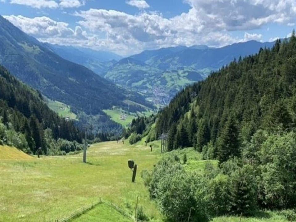 Region [summer] (>5 km)