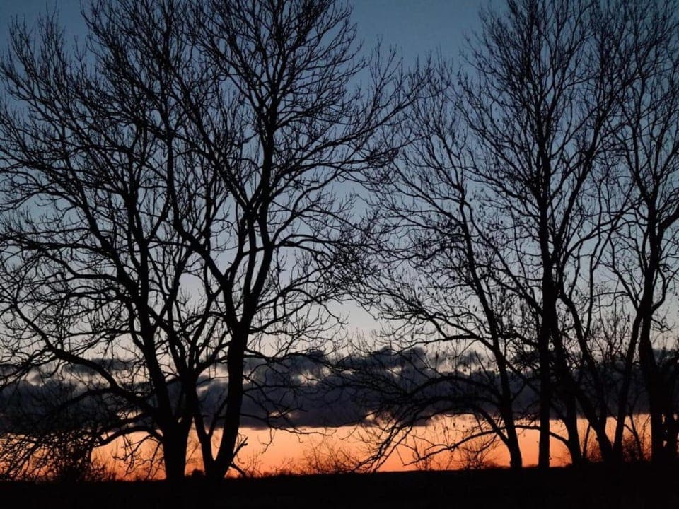 Region [summer] (>5 km)