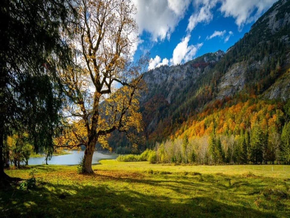 Region [summer] (>5 km)