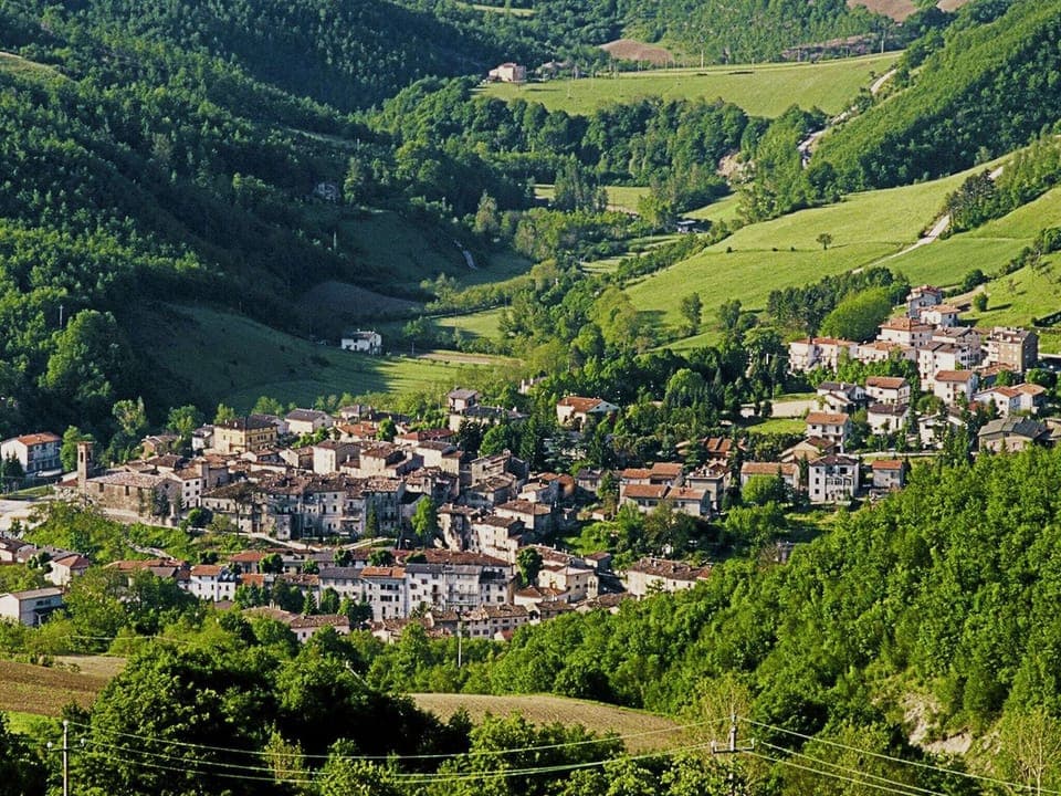 View from Holiday Home [summer]
