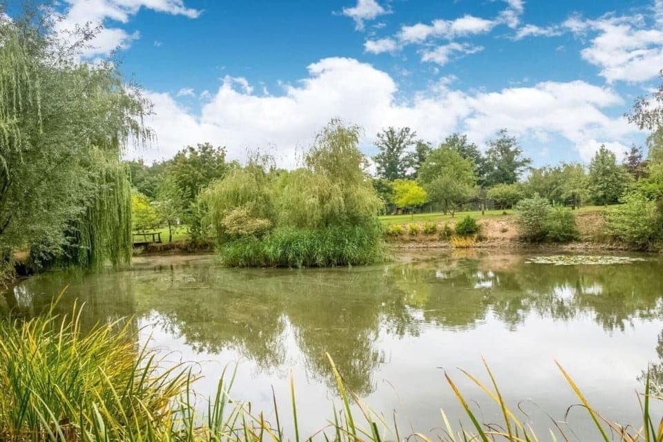 Region [summer] (>5 km)