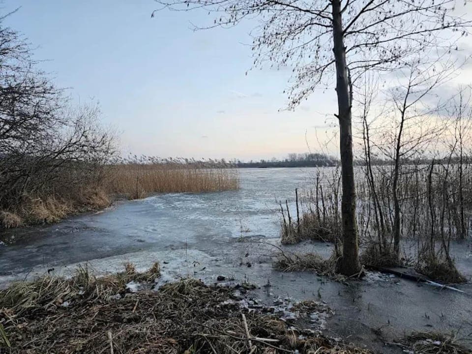 Region [summer] (>5 km)