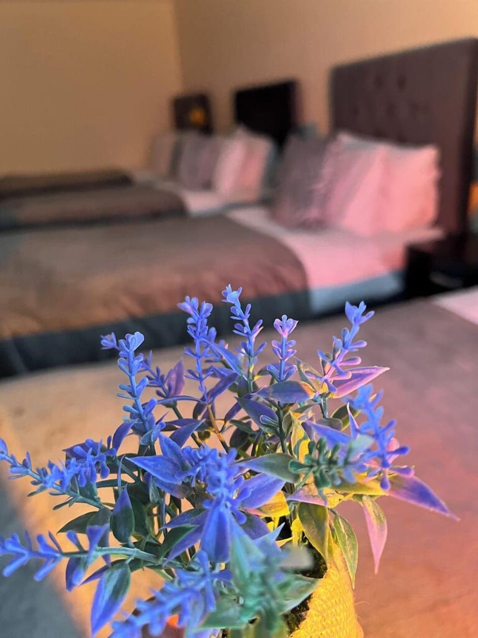 Apartment | 2 bedrooms, iron/ironing board, free WiFi