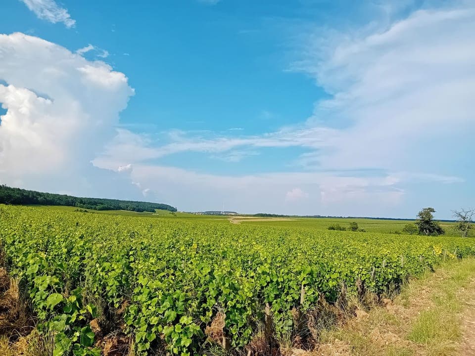 65b4461f-8f3c-4322-bf5c-da8741cabab0