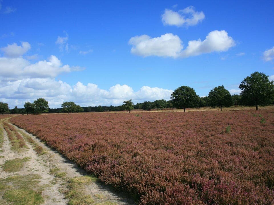 Chalet | View from property