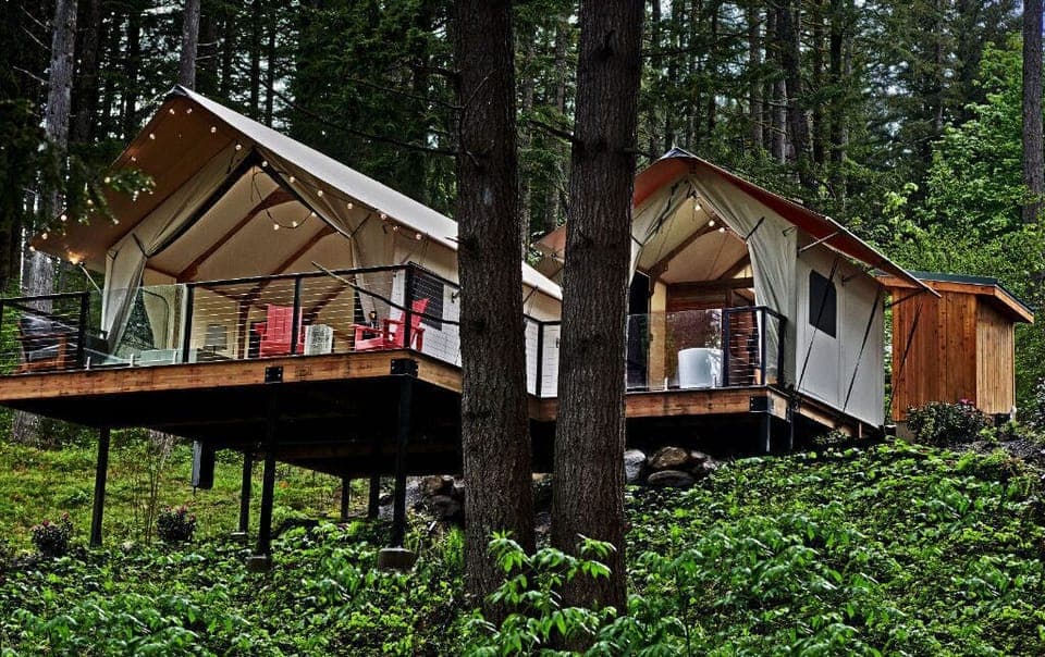 A tranquil glamping retreat nestled in the forest, offering a seamless blend of comfort and natural beauty.