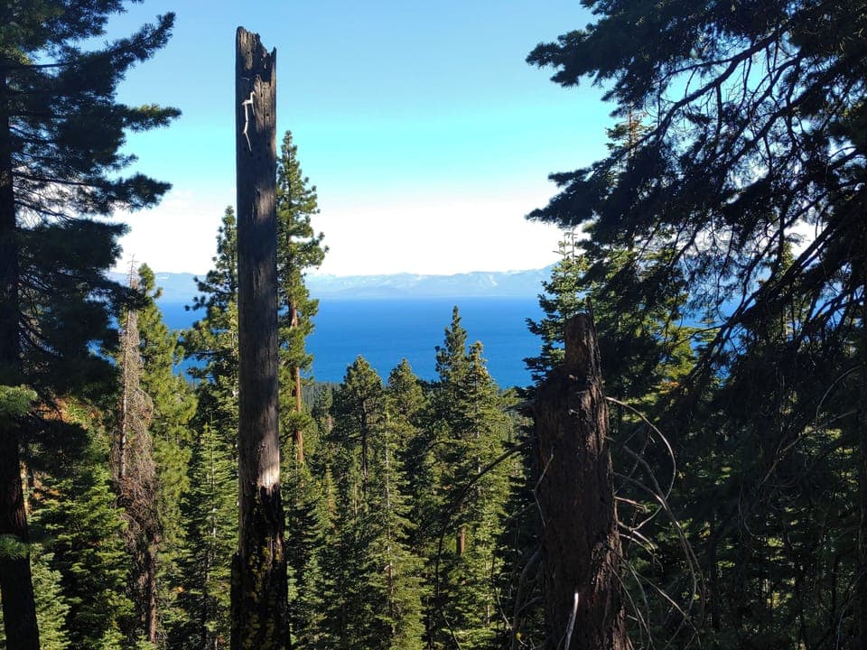 Views from tail less than 1 mile from house. Trial head 700ft from front door. 