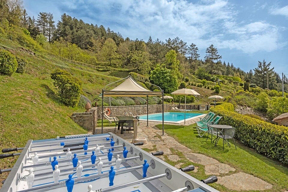 Garden and swimming pool