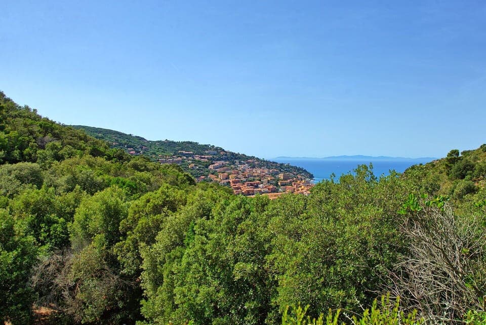 Outdoor, Scenic View