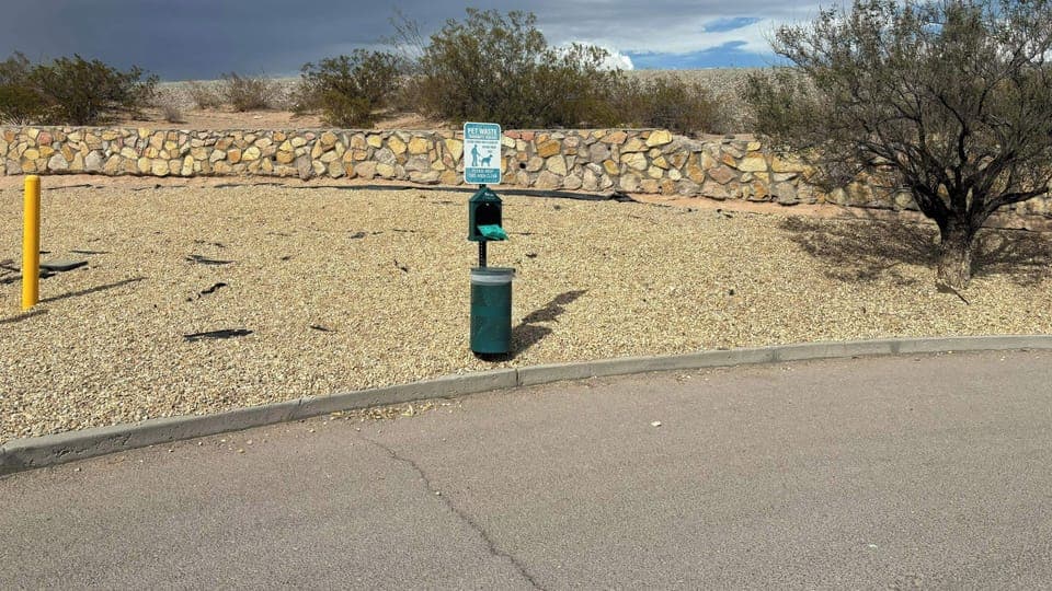 Pet-friendly amenities